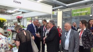 vlcsnap-2017-06-05-20h45m11s086